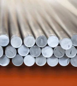 SS5-ezgif.com-jpg-to-webp-converter (1)