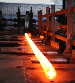 597A1748-ezgif.com-optiwebp